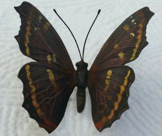Incredible Vienna Bronze Butterfly Cold Painted 4