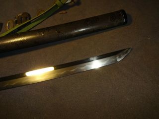 K01 Japanese sword wakizashi in mountings,  full polish, 6