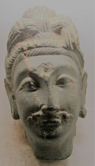 Rare Ancient Gandhara Stone Schist Statue Fragment Boddishatva Head 200bc - 200ad