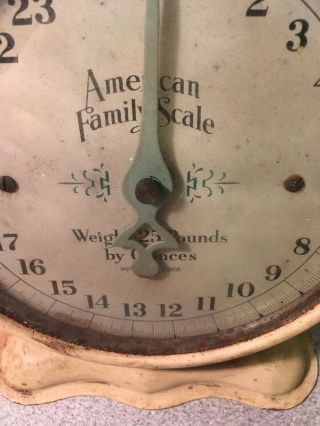 Vintage Antique American Family Scale 2