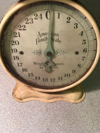 Vintage Antique American Family Scale 3