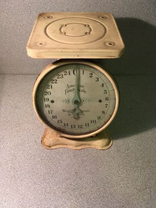 Vintage Antique American Family Scale 5