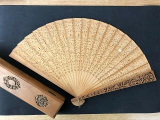 Good 19th C.  Century Chinese Large Sandalwood Fan And Box 56 Cm