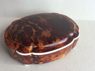 Large Antique Faux Tortoiseshell Box Caddy 19th Century Casket No.  3