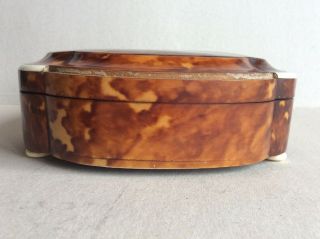 Large Antique Faux Tortoiseshell Box Caddy 19th Century Casket No.  3 9