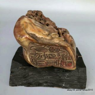 Unique Natural Shoushan Stone Ross quartz Carving old man seal stamp signet LLL 7
