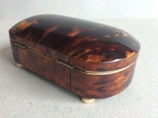 Antique Faux Tortoiseshell Box Caddy 19th Century Casket No.  2 2