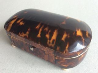 Antique Faux Tortoiseshell Box Caddy 19th Century Casket No.  2 4