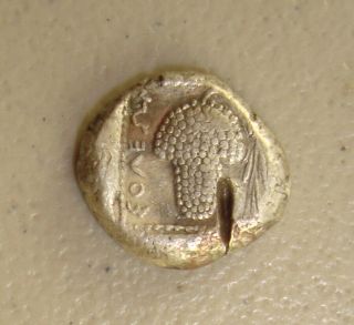 440 - 400 BC Cilicia,  Soloi Ancient Greek Amazon / Grapes Silver Stater 2