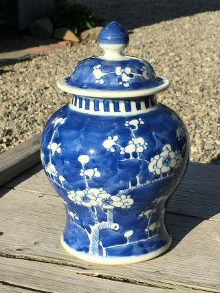 Kangxi 18th - 19th Century Blue And White Lidded Prunus Jar