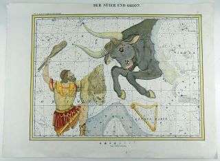 RARISSIMUM Large Celestial Map - Taurus Orion - from Atlas by Hoffmann 37 cm 2