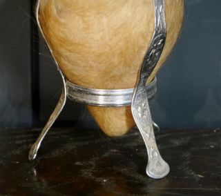Authentic Yerba Mate South American Drinking Vessel,  Form from a Bulls Testicle 2