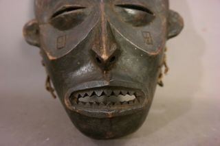 VINTAGE Petite AFRICAN MASK Old CHOKWE TRIBE Teeth WOOD CARVED Tribal Art STATUE 3