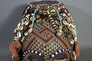 Vintage KUBA TRIBE Puka Shell & Beads QUEEN MASK Old AFRICAN Wood CARVED Tribal 3