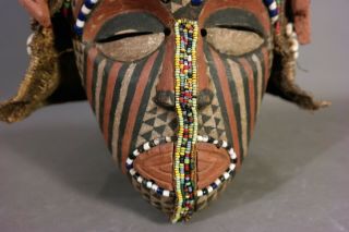 Vintage KUBA TRIBE Puka Shell & Beads QUEEN MASK Old AFRICAN Wood CARVED Tribal 4