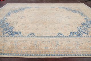 Vintage Muted Area Rug Beige Blue Distressed Oriental Wool Carpet Handmade 10x13