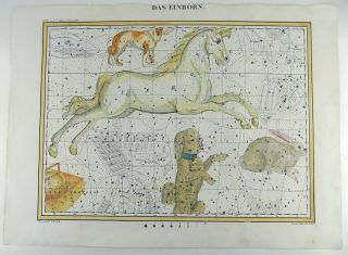 RARISSIMUM Large Celestial Map - UNICORN - from Atlas by Hoffmann 37 cm 2
