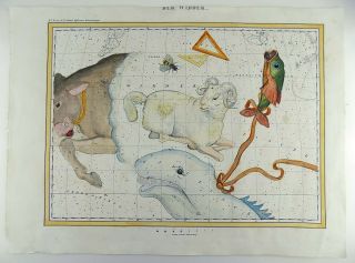RARISSIMUM Large Celestial Map - RAM - from Atlas by Hoffmann 37 cm 2