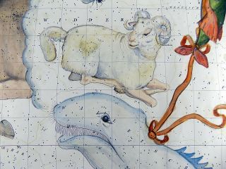 RARISSIMUM Large Celestial Map - RAM - from Atlas by Hoffmann 37 cm 3