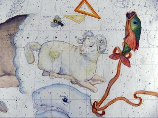 RARISSIMUM Large Celestial Map - RAM - from Atlas by Hoffmann 37 cm 4