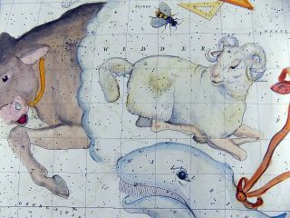 RARISSIMUM Large Celestial Map - RAM - from Atlas by Hoffmann 37 cm 5