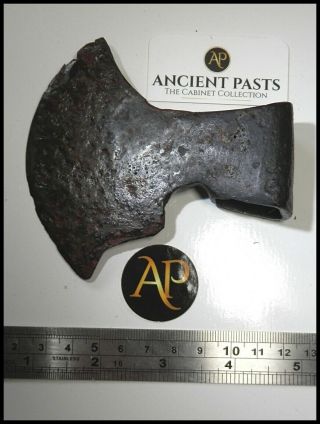 Very Rare Early Anglo - Scandinavian Viking Shield - Maiden Axe Hatchet Decorated 3