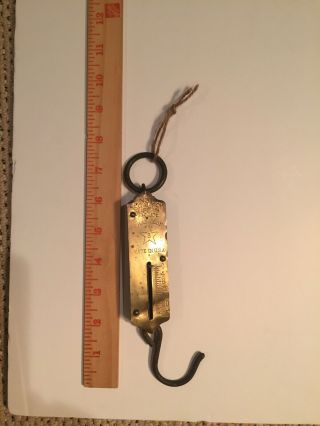 2 Antique Brass Spring Hanging Scales John Chatillon and Sons NY 25 lbs 50 lbs 7