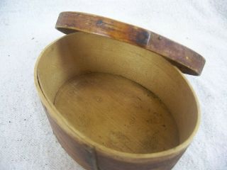 Small Oval Antique 19th century Wood Pantry Spice Box AAFA 5