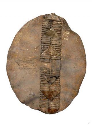 Early Zulu Shield.  19th century.  Zulu Wars Period. 2