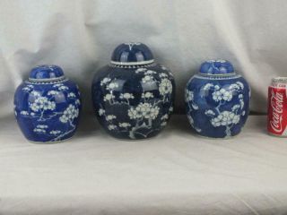 Three 19th C Chinese Kangxi Marks Blue & White Prunus Porcelain Jars And Covers