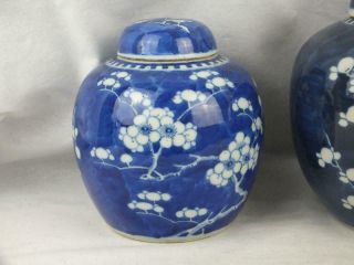 THREE 19TH C CHINESE KANGXI MARKS BLUE & WHITE PRUNUS PORCELAIN JARS AND COVERS 2