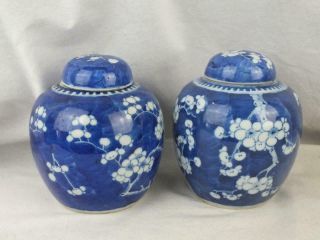 THREE 19TH C CHINESE KANGXI MARKS BLUE & WHITE PRUNUS PORCELAIN JARS AND COVERS 4