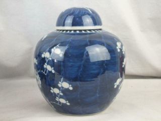 THREE 19TH C CHINESE KANGXI MARKS BLUE & WHITE PRUNUS PORCELAIN JARS AND COVERS 5
