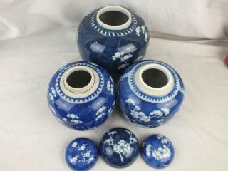 THREE 19TH C CHINESE KANGXI MARKS BLUE & WHITE PRUNUS PORCELAIN JARS AND COVERS 8