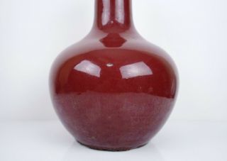 A Large Copper - Red Glazed Bottle Vase 5