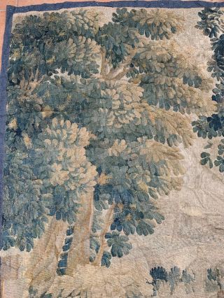 Antique French Aubusson Tapestry 18th - Century Verdure 173 X 224 Cm 8