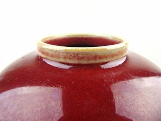 Chinese Flambé Globular Red Ginger Jar With Lid,  19th C 5