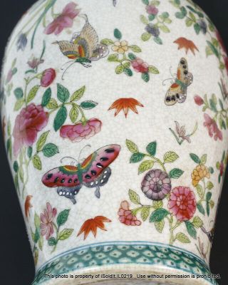 ANTIQUE CHINESE HAND - PAINTED 100 BUTTERFLY & FLORAL VASE QING DYNASTY 11