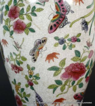 ANTIQUE CHINESE HAND - PAINTED 100 BUTTERFLY & FLORAL VASE QING DYNASTY 2