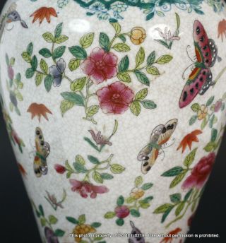 ANTIQUE CHINESE HAND - PAINTED 100 BUTTERFLY & FLORAL VASE QING DYNASTY 5