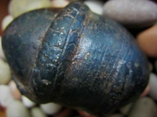 Antique Dayak Tribal cast metal alloy Shamans Serpent ritual healing egg rattle 11