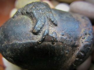 Antique Dayak Tribal cast metal alloy Shamans Serpent ritual healing egg rattle 9