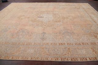 Antique Muted Pale Peach Distressed Area Rug Faded Oriental Wool 10x13