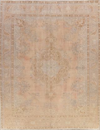 Antique MUTED Pale Peach Distressed Area Rug FADED Oriental Wool 10x13 2