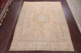 Antique MUTED Pale Peach Distressed Area Rug FADED Oriental Wool 10x13 3
