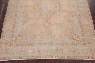 Antique MUTED Pale Peach Distressed Area Rug FADED Oriental Wool 10x13 6
