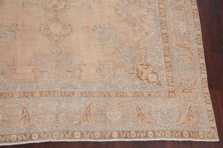 Antique MUTED Pale Peach Distressed Area Rug FADED Oriental Wool 10x13 7