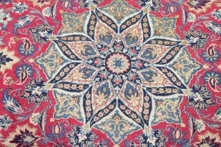 Traditional Oriental Area Rugs Hand - Knotted Wool Floral Carpet 9 x 12 STUNNING 11