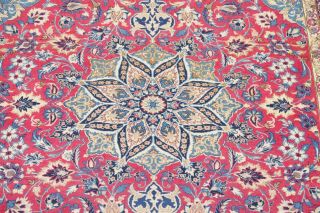 Traditional Oriental Area Rugs Hand - Knotted Wool Floral Carpet 9 x 12 STUNNING 4