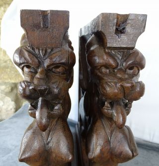 Antique French Pedestals Statues Carved Wood Solid Oak Griffins/ 19 th 3